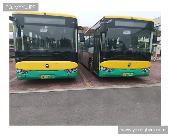 亚星客车在新能源客车市场中的发展机遇与面临的挑战 亚星客车在新能源客车市场中的发展机遇与面临的挑战