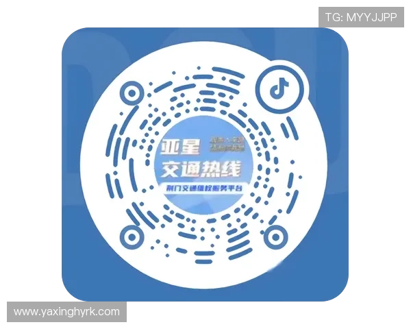 亚星手机版登录入口网址安全指南，保障用户账号信息安全和登录过程的顺利进行