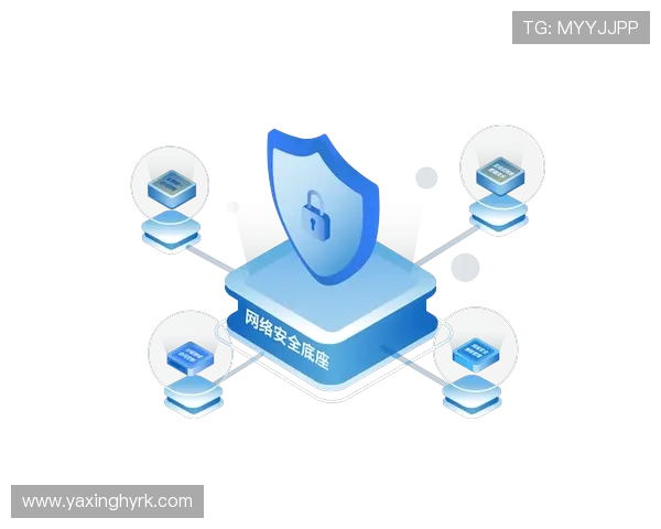 亚星游戏官方网登录安全保障措施，保障玩家账号信息安全的官方措施分析