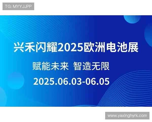 亚星yaxin117.com游戏登录账号安全保障措施及个人信息保护的重要建议